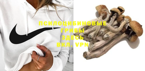 не бодяженный Алзамай