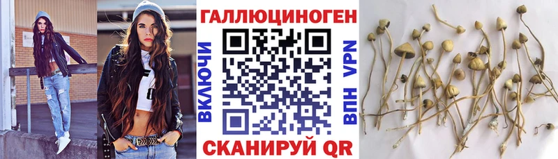 Псилоцибиновые грибы мухоморы  Купить закладки  Белозерск 